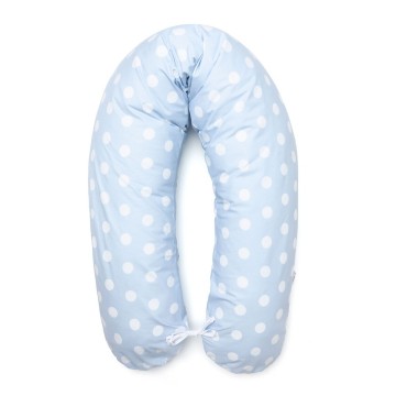 Rogal kolka niebieskie